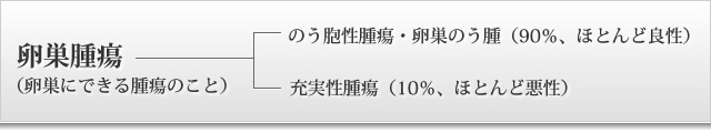 卵巣腫瘍（卵巣にできる腫瘍のこと）